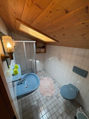 Ein Badezimmer mit blauem Waschbecken, einer Dusche und einer Toilette.
