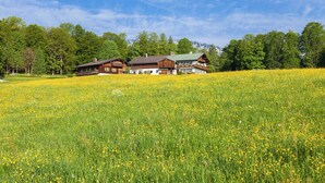 A large wooden house with a green roof, surrounded by a field of yellow flowers, and a mountain in the background. - Rauher Kopf Vacation Rental, 50 m², 1–4 people, 2 bedrooms, 2 showers/toilets, kitchen (Bischofswiesen)