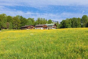 A large wooden house with a green roof, surrounded by a field of yellow flowers, and a mountain in the background.