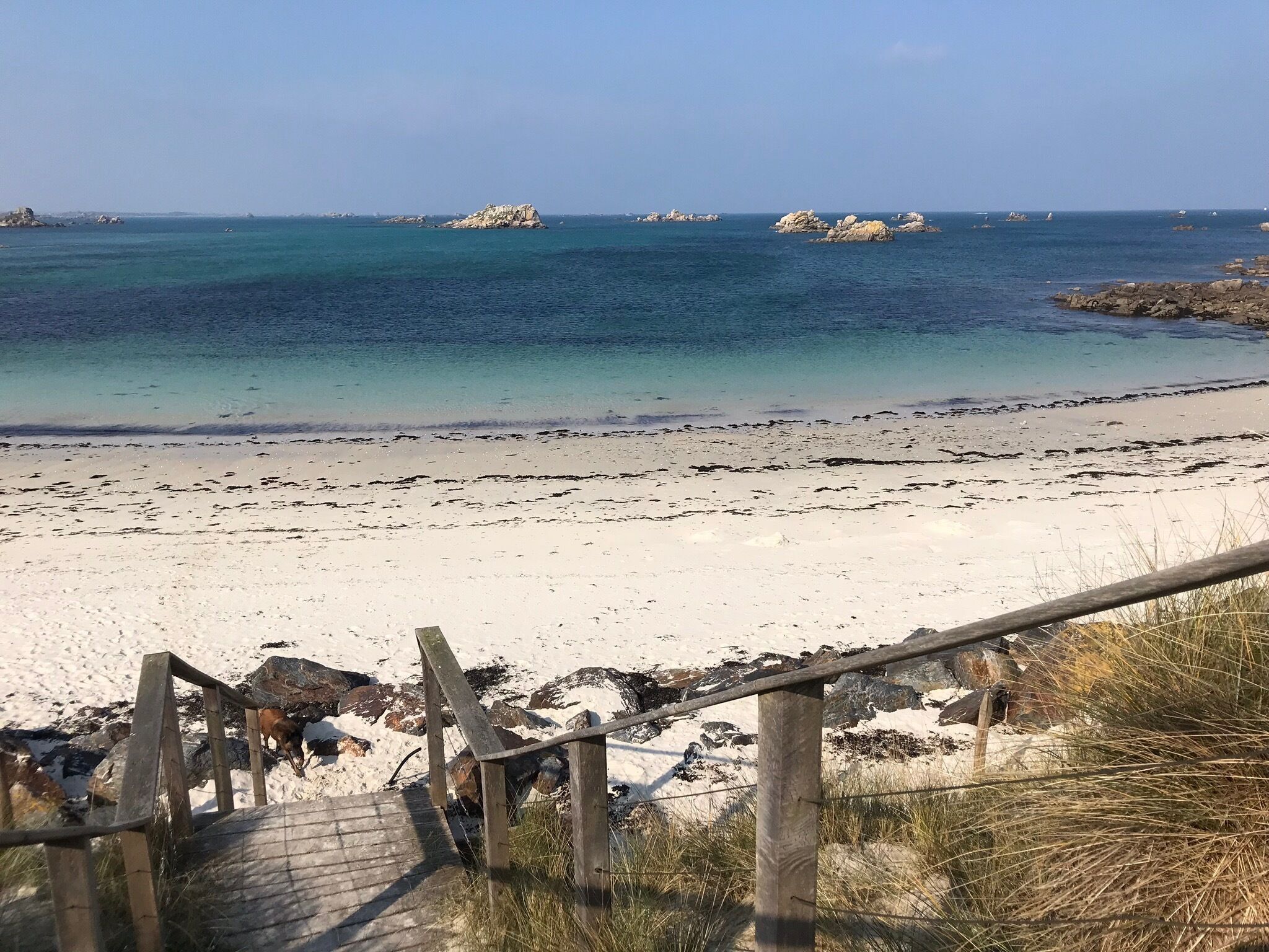 A beach with a wooden staircase leading down to the shore, surrounded by rocks and sparse vegetation.