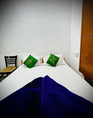 Iron/ironing board, WiFi (free) - Mohan Villa Guest House (Udaipur)