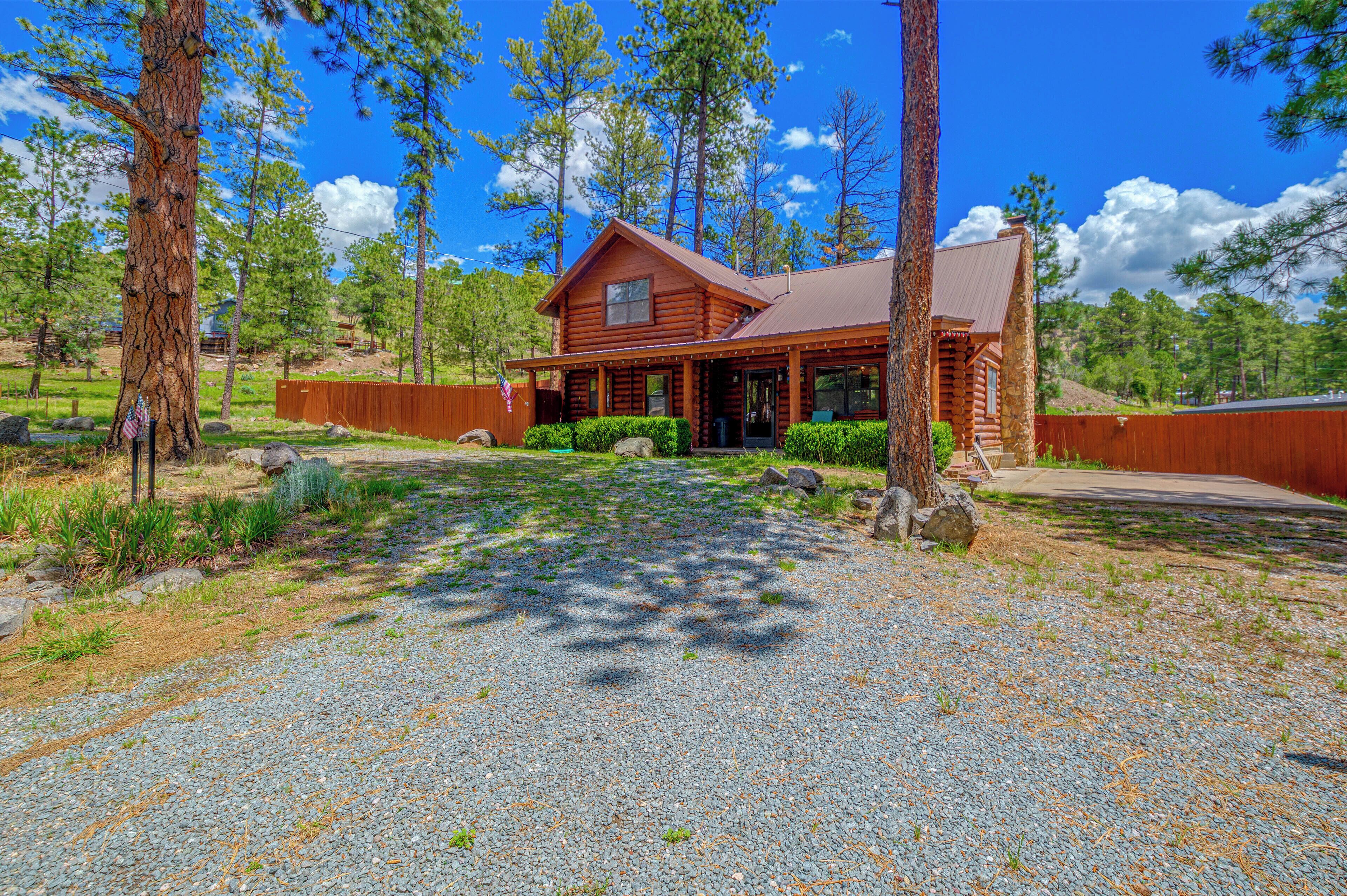 A log cabin with a gravel driveway, surrounded by pine trees.