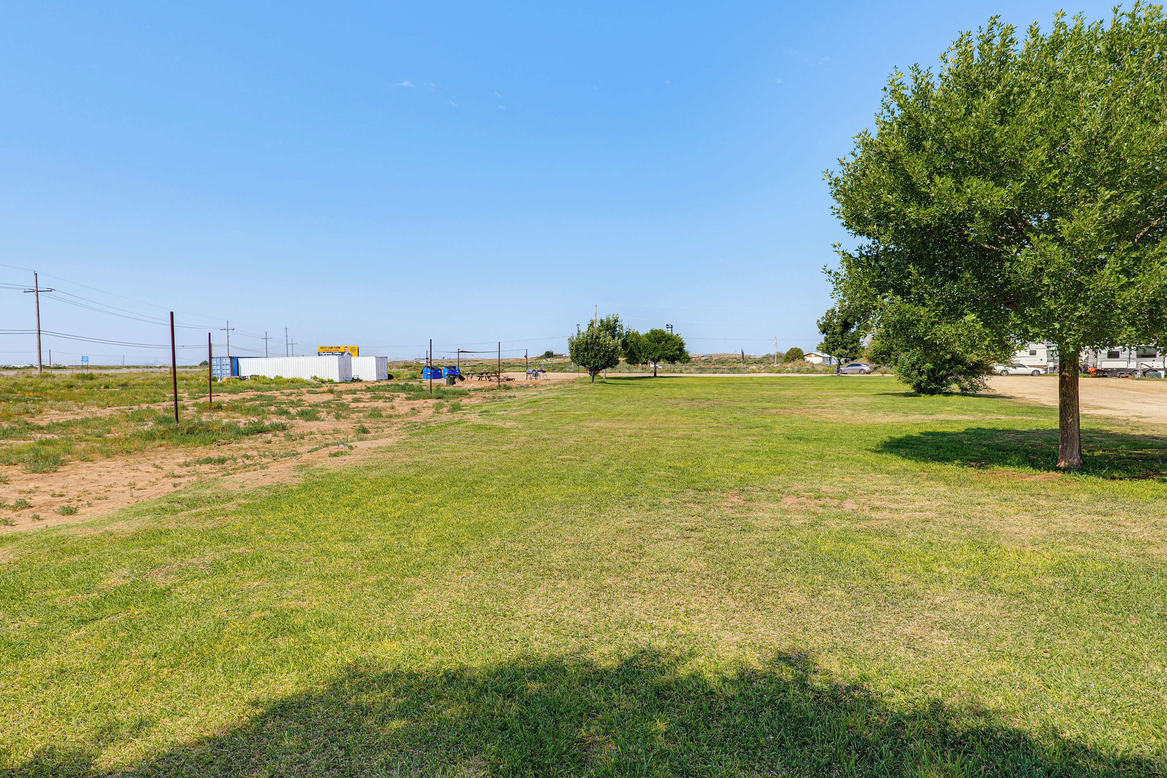 A grassy field with a tree and a building in the distance.
