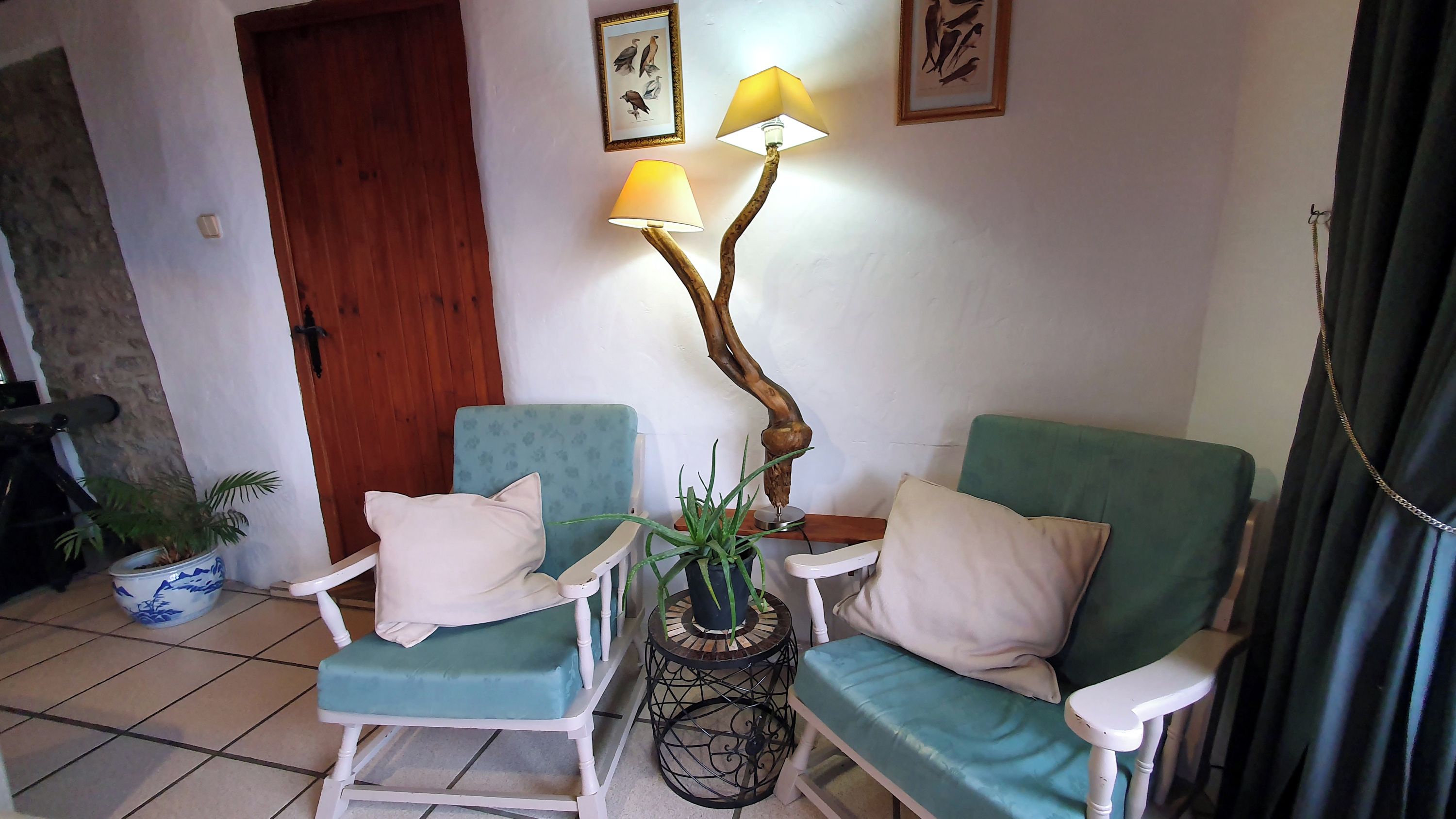 Ein Zimmer mit zwei grünen Sesseln, einem kleinen Tisch mit einer Lampe und einem Blumentopf.