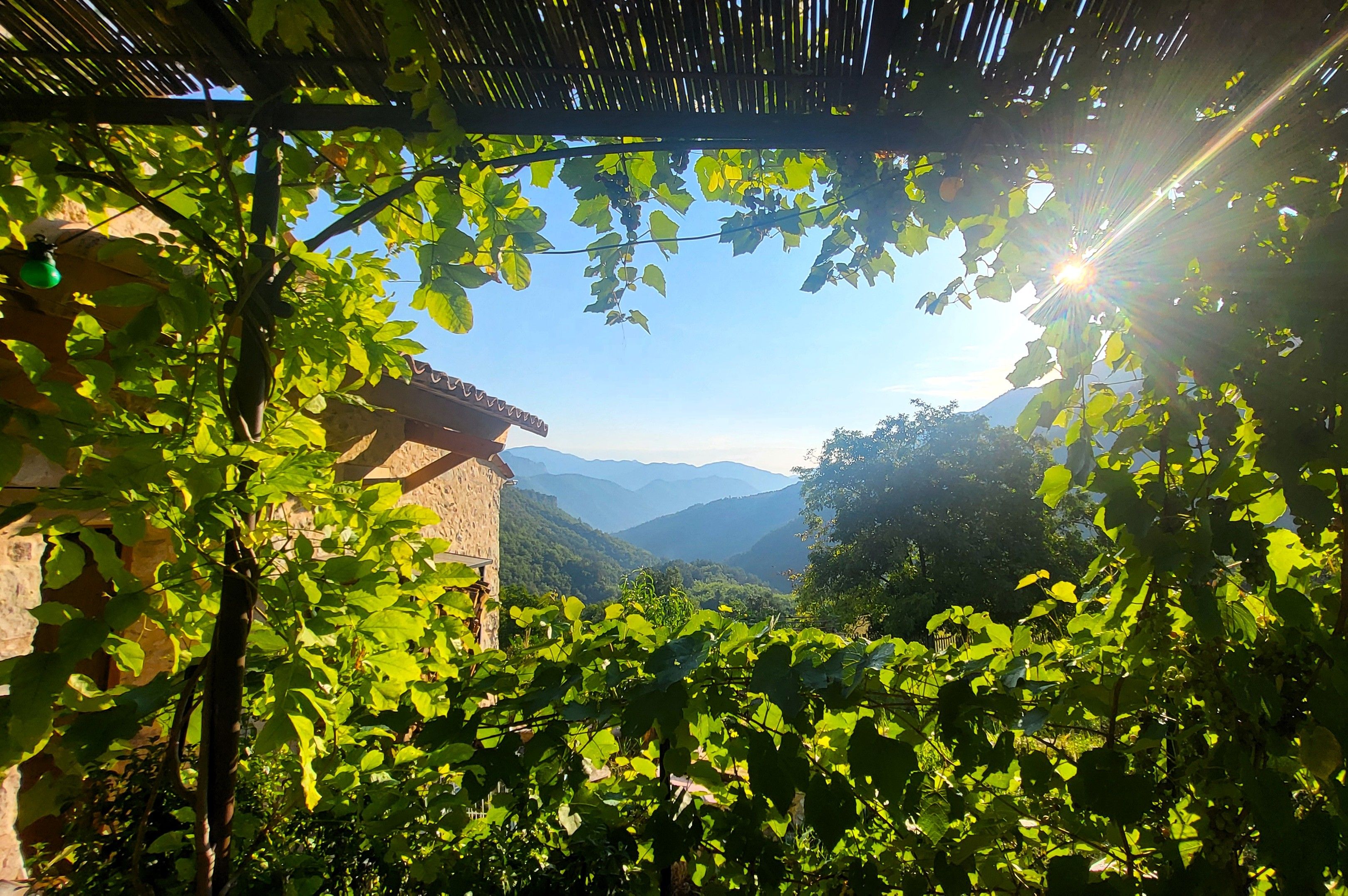A vineyard with a stone building and a view of distant mountains.