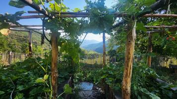 Estrutura de pérgola de madeira com plantas trepadeiras, cercada por uma vedação de madeira e uma paisagem montanhosa ao fundo.