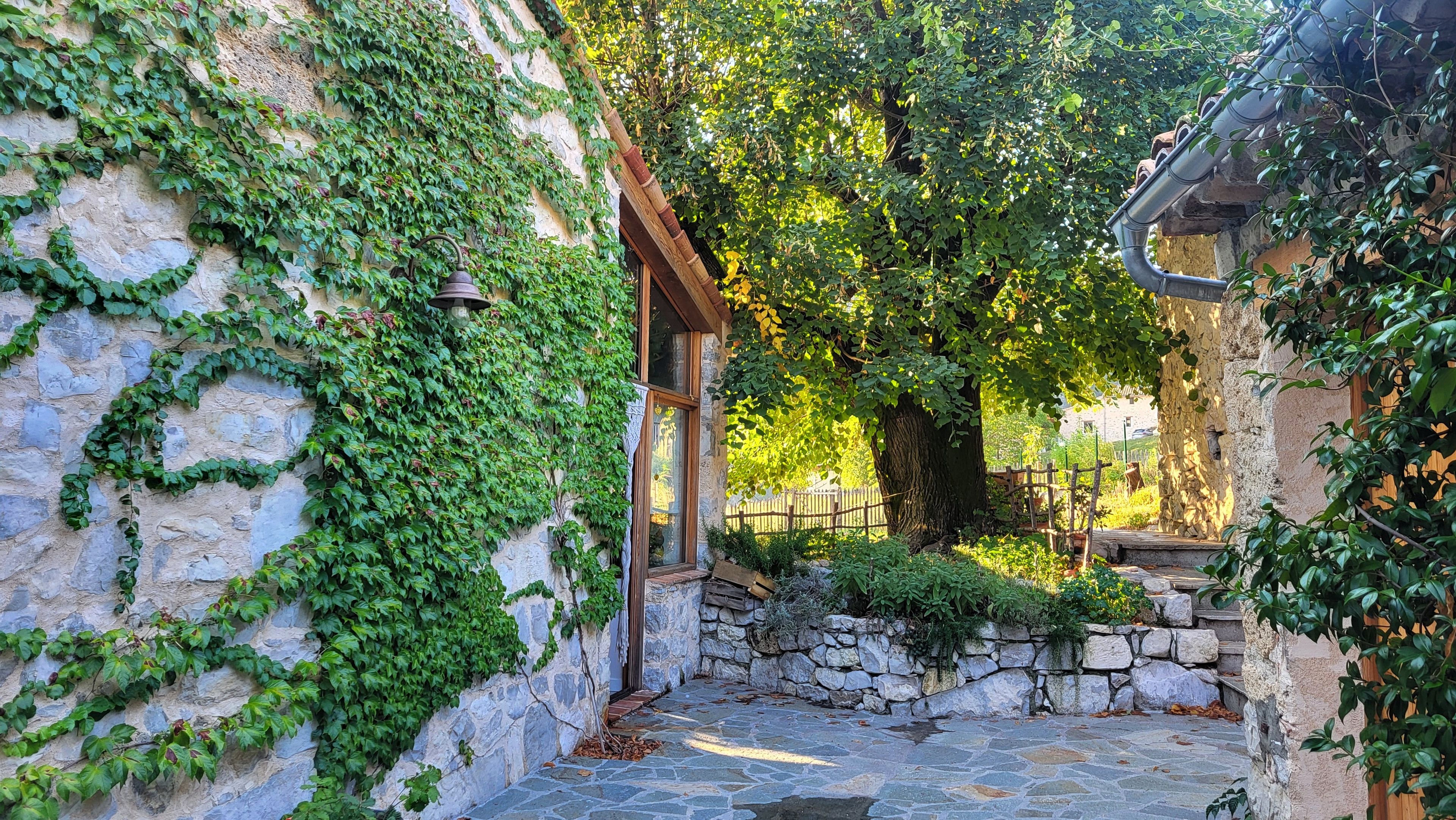 Un chemin de pierres mène à une structure en bois dotée d’une porte en verre, le tout étant entouré d’une végétation luxuriante et d’un mur de pierres.