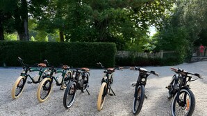 A row of bicycles parked on a gravel surface.