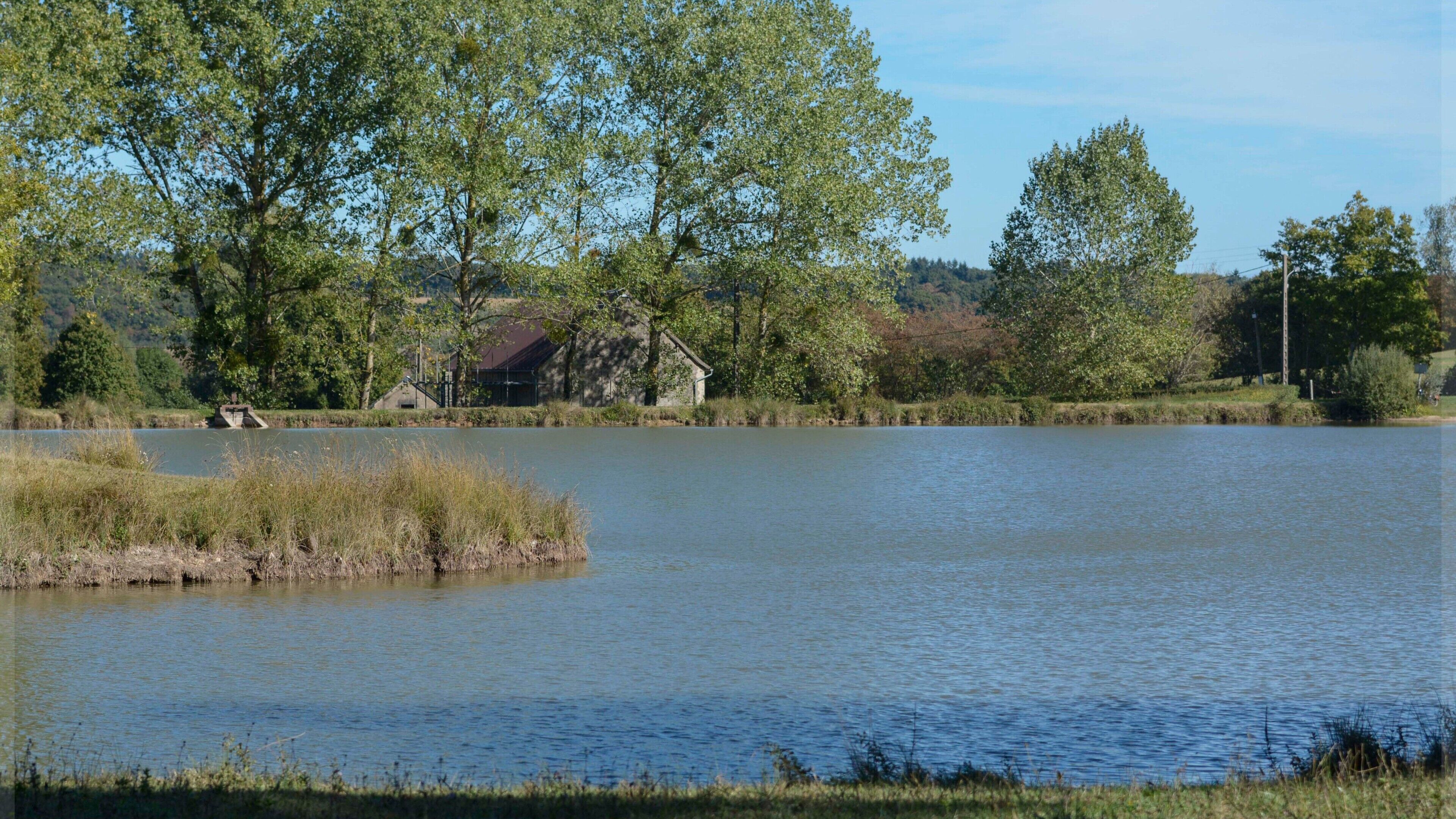 A calm lake with a small island, surrounded by trees and a building in the background.