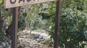 A garden area with a wooden sign, rocks, and various plants. - Apartment 'Ca Di Patio' with Shared Pool, Private Terrace and Wi-Fi (Monastero Bormida)