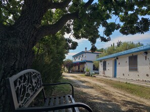 A bench under a tree, a dirt path, and a building with a blue roof.