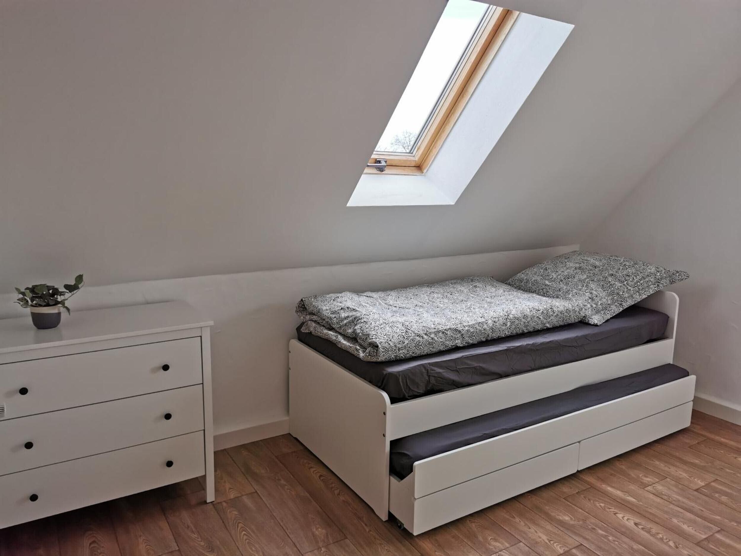 A compact bedroom with a loft bed, a bedside table, a small potted plant, and a skylight.