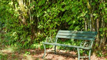Un banc de parc entouré d’un feuillage dense et d’arbres.