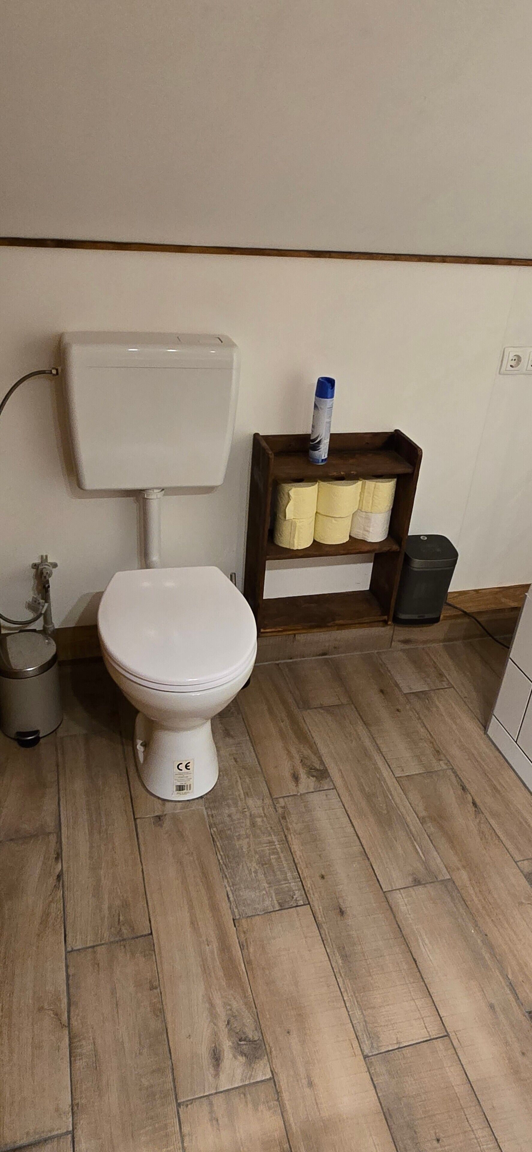 Une salle de bain standard équipée d’un WC, d’une étagère contenant des produits de nettoyage et d’une poubelle.