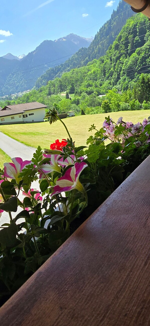 A balcony with a view of a mountain landscape, a house, and a garden with flowers.
