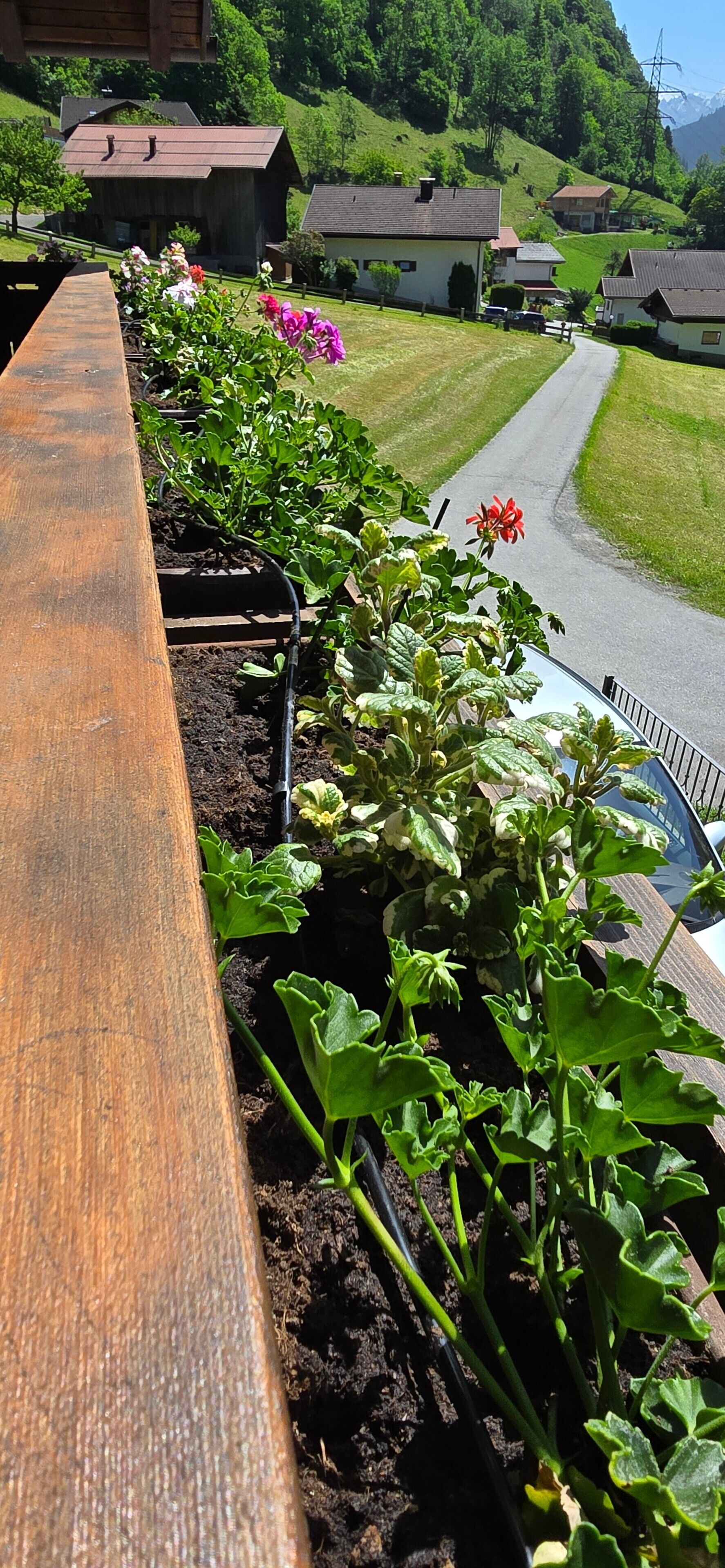 Un jardín con un banco de madera, un sendero y casas al fondo.