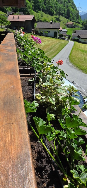 A garden with a wooden bench, a pathway, and houses in the background.
