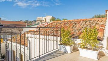 Eine Dachterrasse mit Terrakotta-Fliesen, Blumentöpfen und einem Metallgeländer.