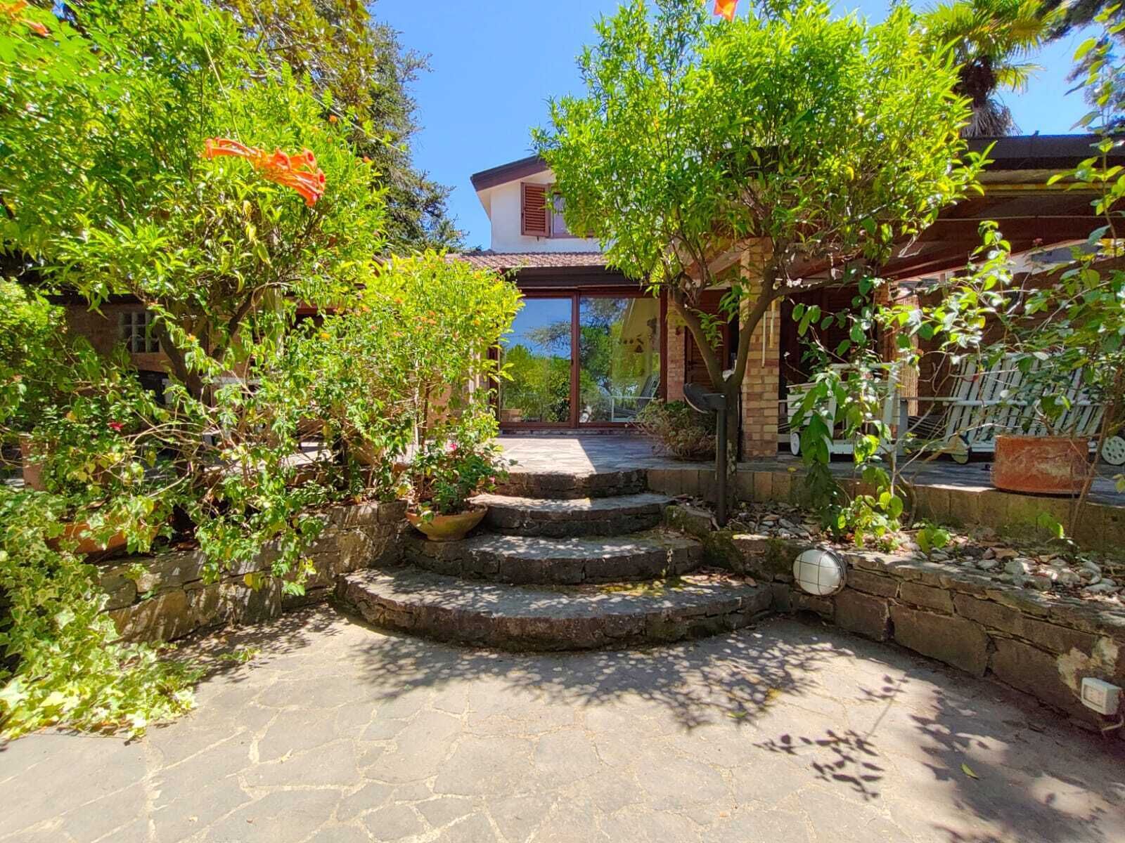 A stone pathway leading to a house with a wooden porch, surrounded by lush greenery and potted plants.