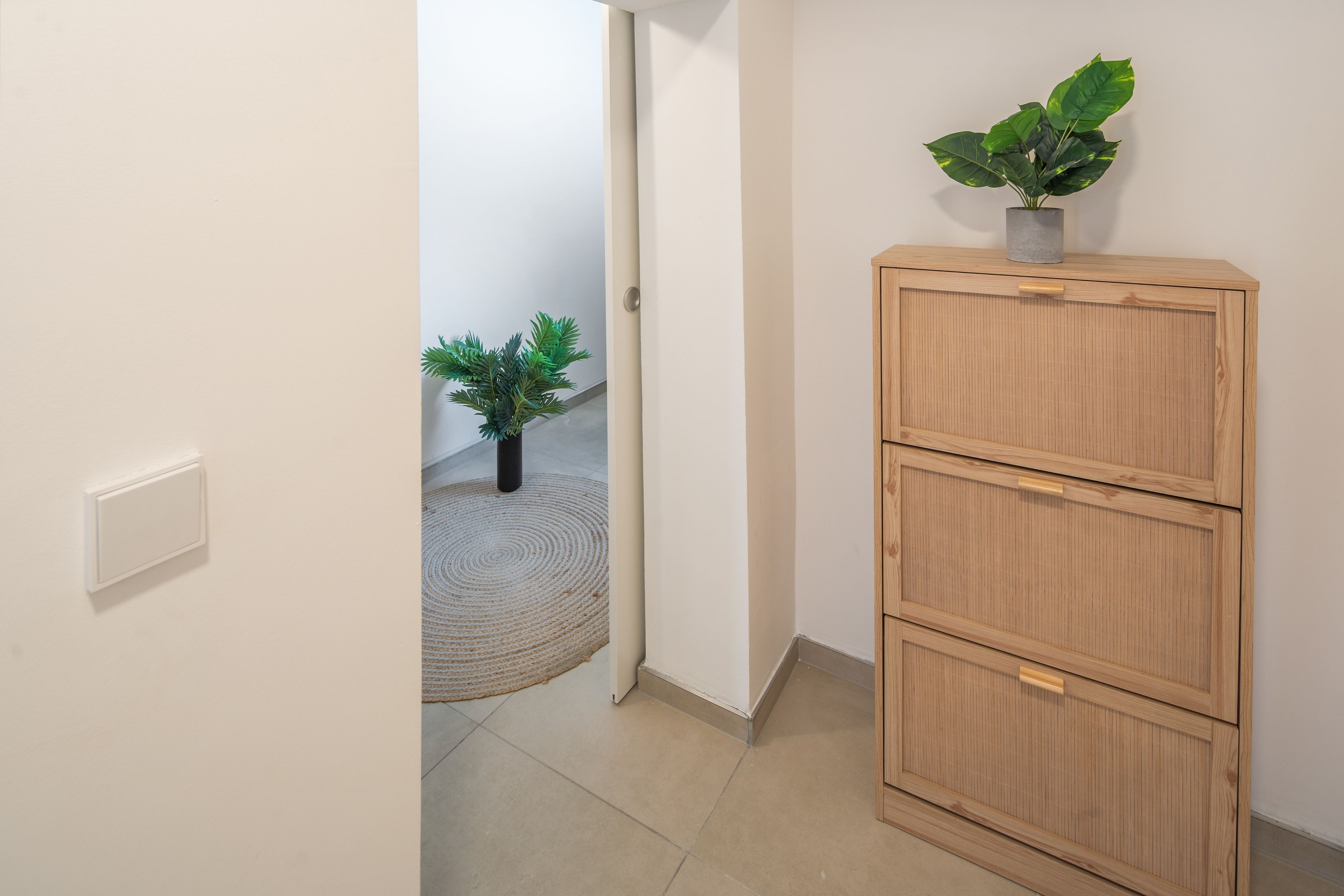 Ein Flur mit einem Holzschrank, einer Topfpflanze und einem strukturierten Teppich.