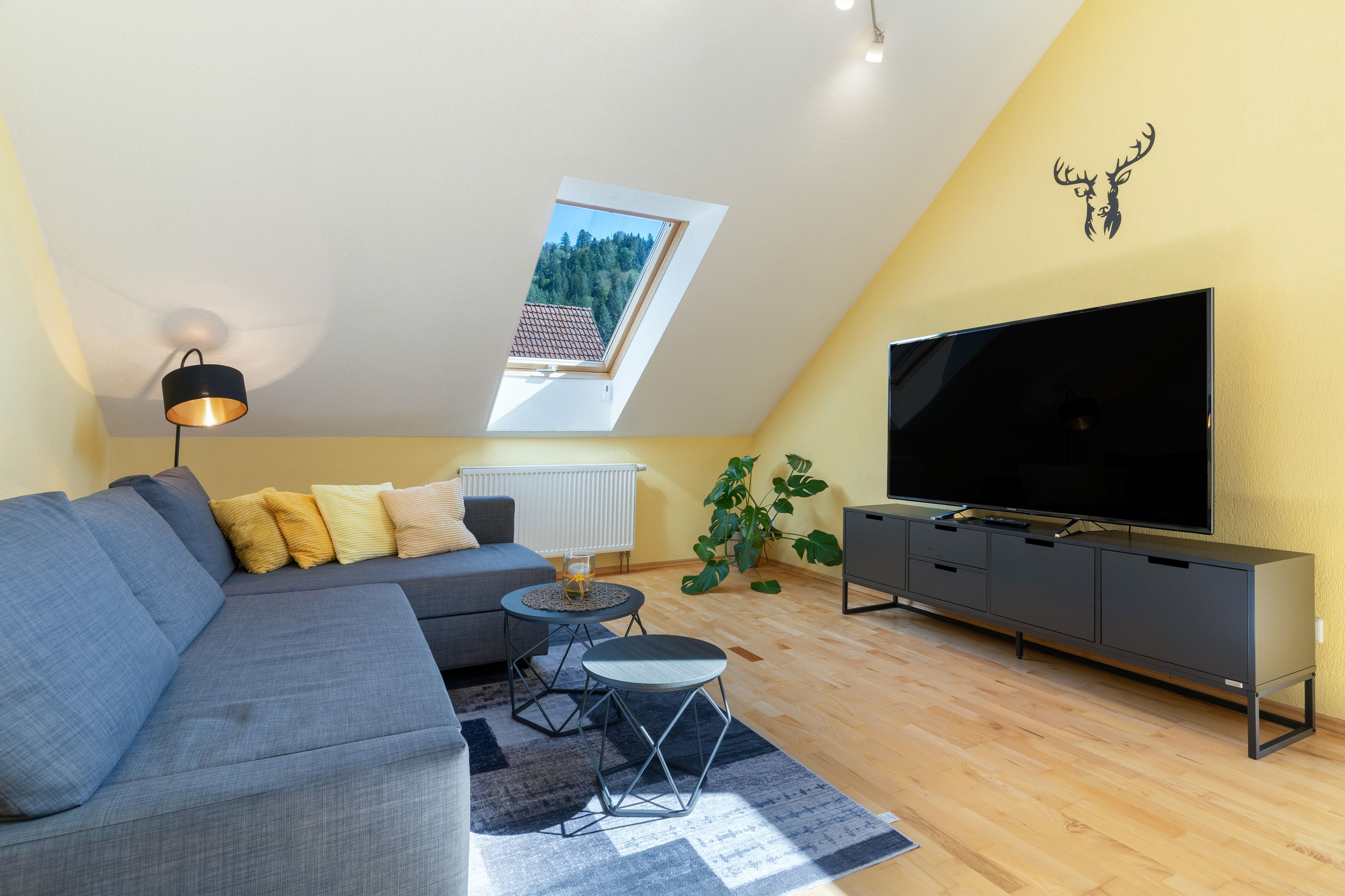 Ein modernes Wohnzimmer mit einem Ecksofa, einem Flachbildfernseher, einem kleinen Beistelltisch und einer Topfpflanze.