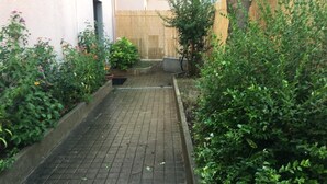 A narrow brick pathway flanked by dense foliage and a bamboo fence.