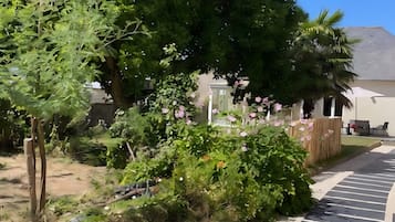 Un sentier qui traverse un jardin où l’on trouve différentes espèces de plantes et d’arbres.