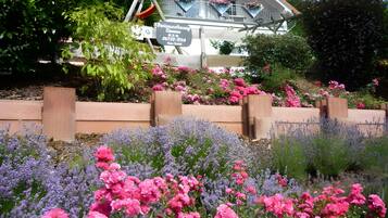 Ein Garten mit verschiedenen Blumen und einem Gebäude mit Balkon.