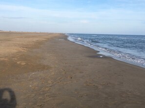 Praia
