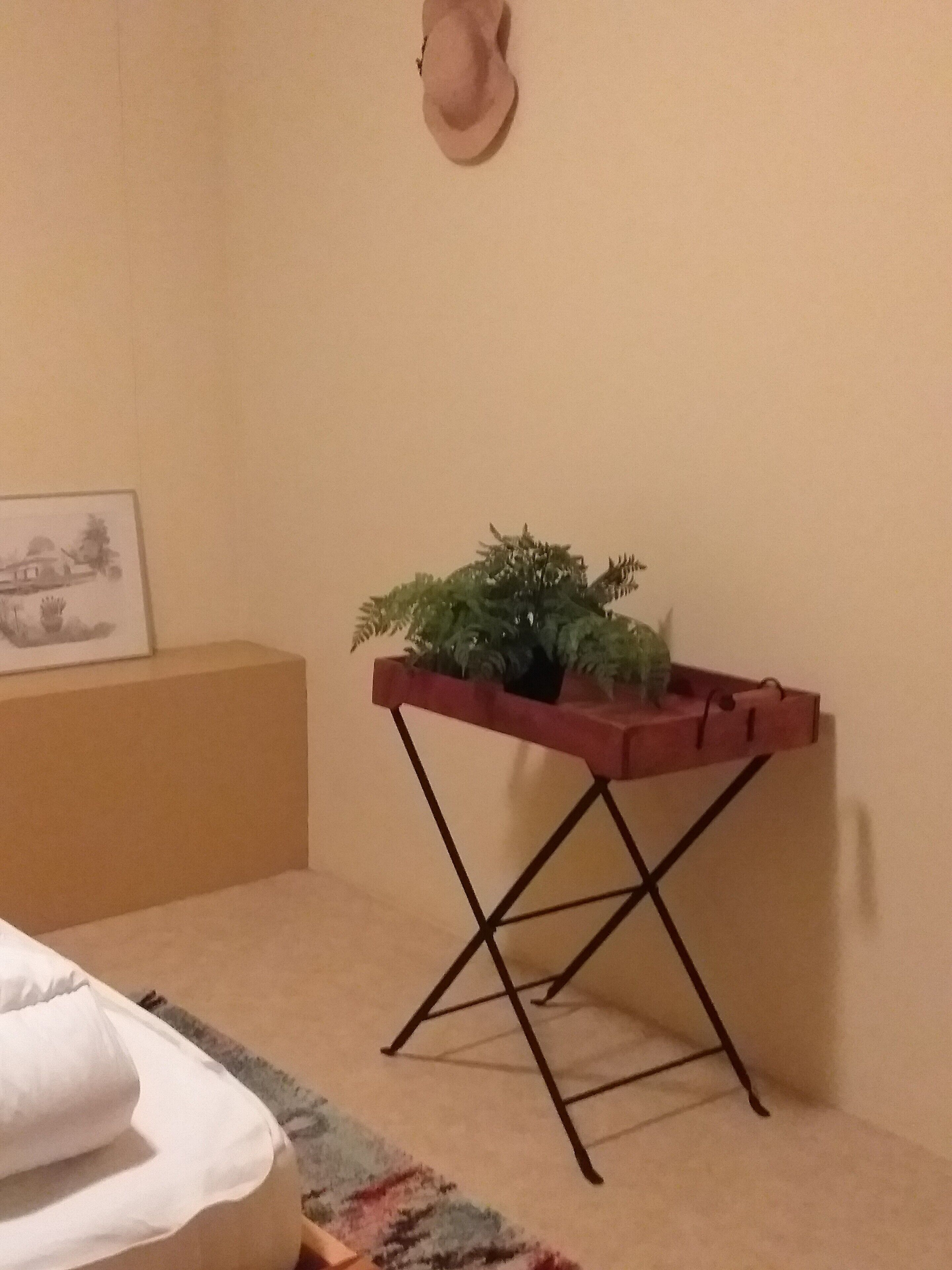 Une pièce avec un lit, une petite table sur laquelle se trouve une plante, un tableau accroché au mur et un chapeau suspendu au mur.