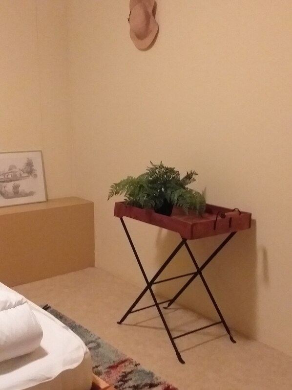 A room with a bed, a small table with a plant, a picture on the wall, and a hat hanging on the wall.