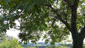 Un camino de grava que conduce a una entrada con portón, con vistas a un paisaje verde y colinas al fondo.