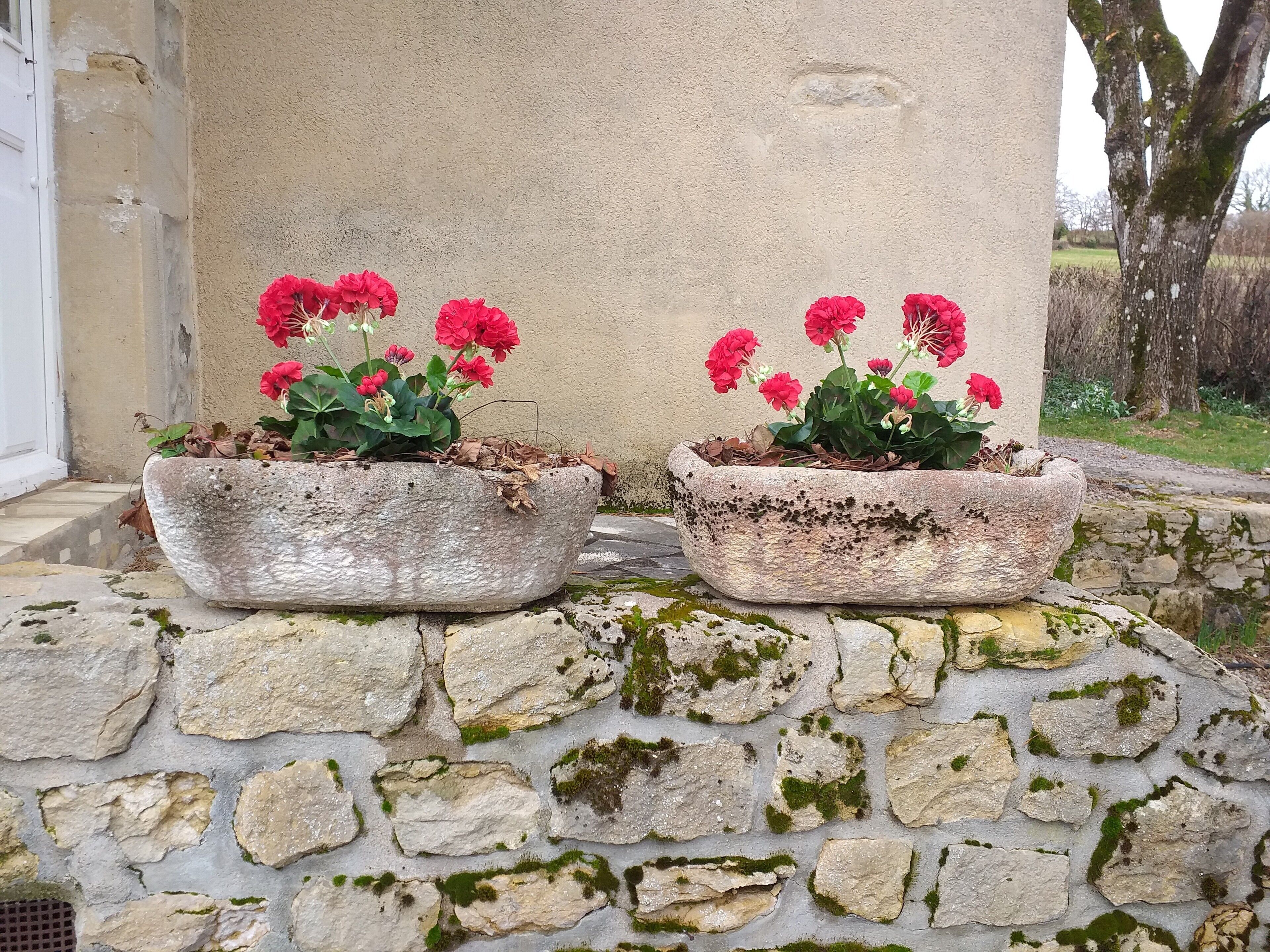 Deux jardinières en pierre ornées de fleurs rouges, posées sur un mur de pierre.