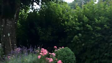 Um jardim com um muro de pedra, caminho de cascalho e diversas plantas, incluindo flores cor-de-rosa.