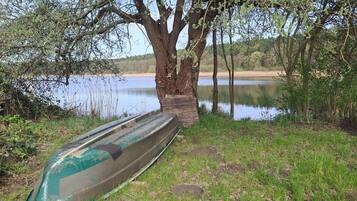 Ein Boot, an einem Baum an einem ruhigen See mit grasbewachsenen Ufern vertäut.