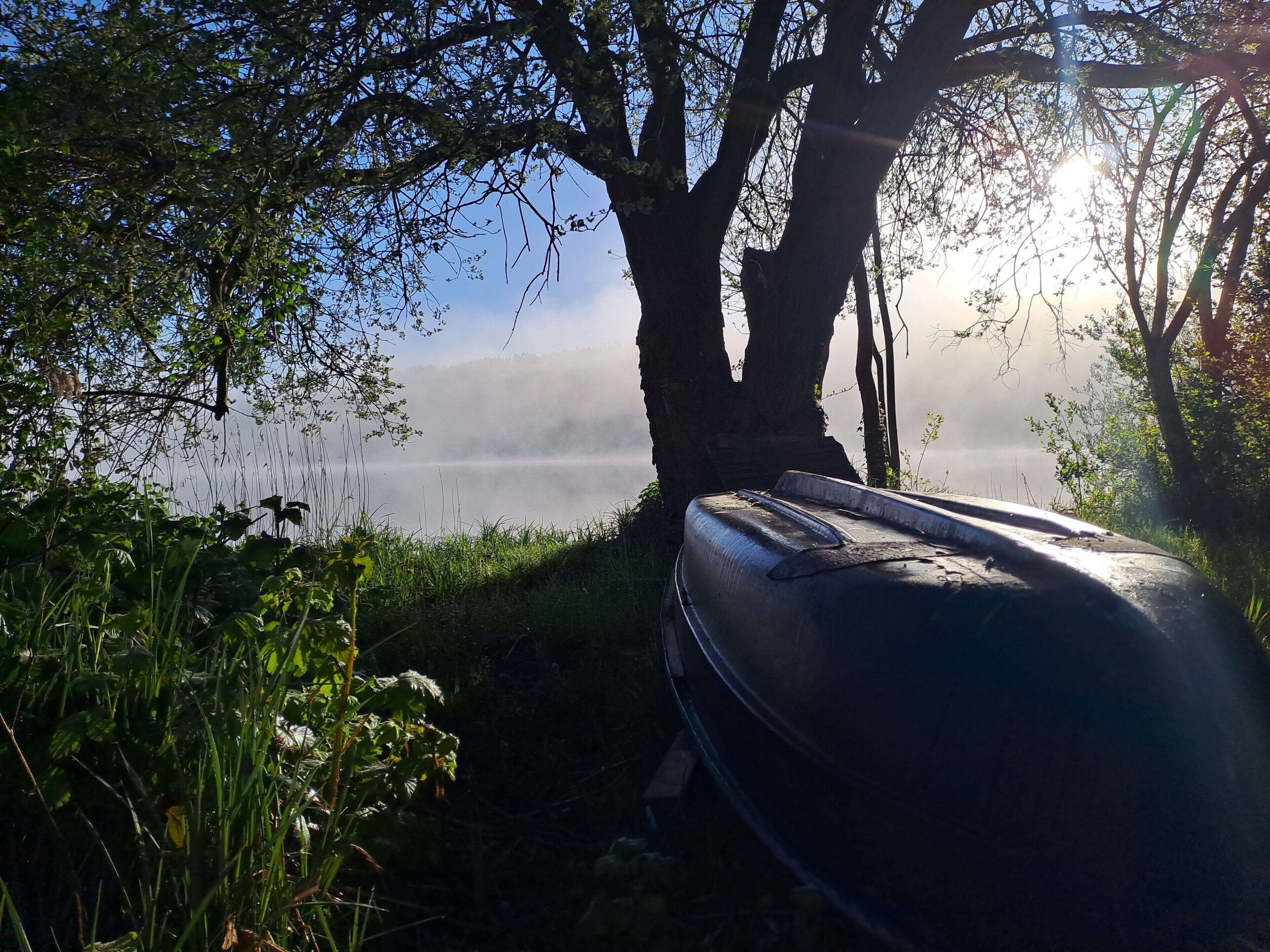 Un bateau est amarré sous un arbre, au bord d’une étendue d’eau, et du brouillard se dégage à l’arrière-plan.