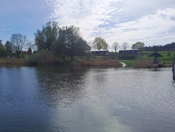 A calm lake with trees and buildings in the background.