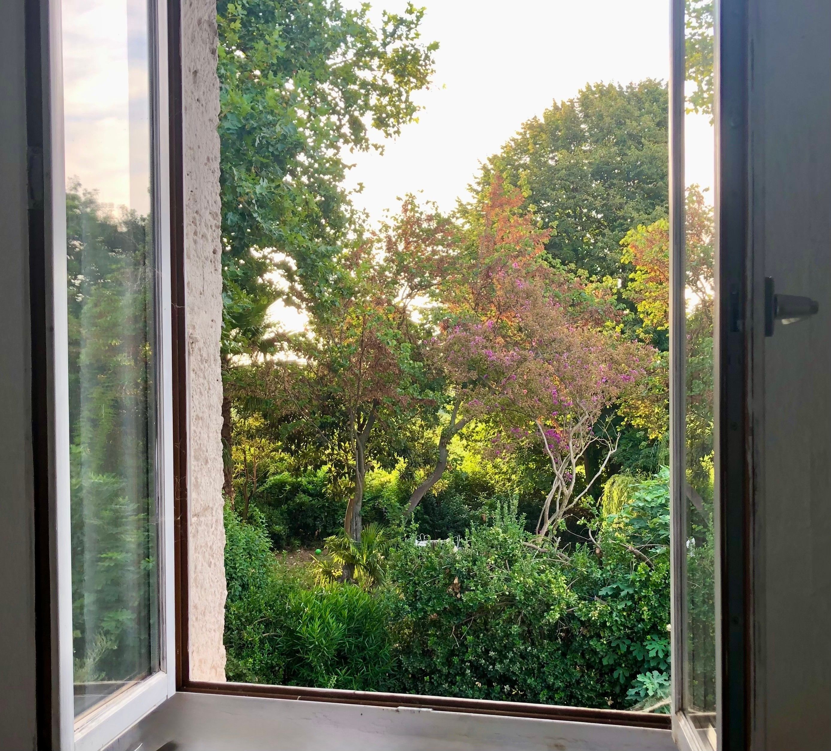 Ein Fenster mit Blick auf einen Garten mit verschiedenen Bäumen und Sträuchern.
