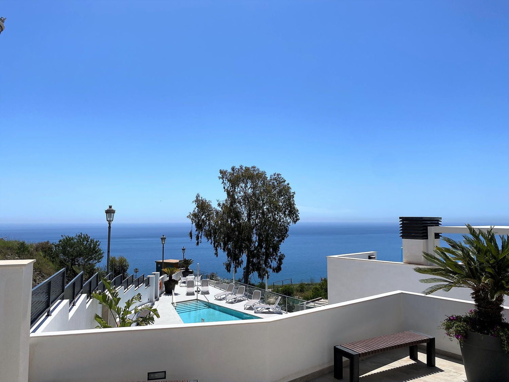 Zona de piscina con vista al mar, rodeada de paredes blancas y un gran árbol.