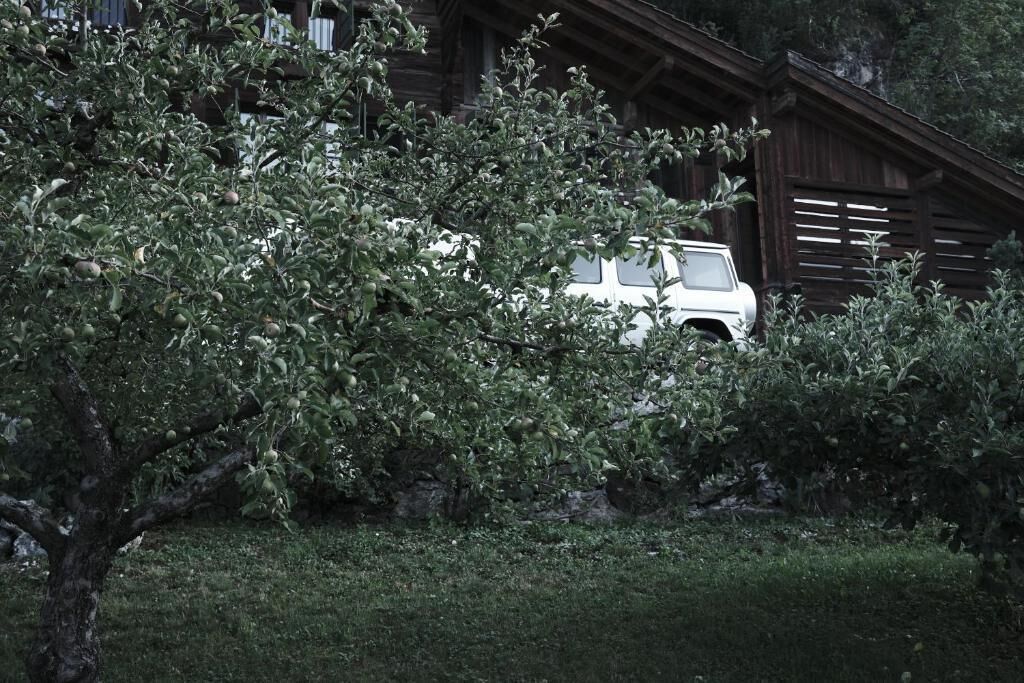 Un vehículo blanco estacionado frente a un edificio de madera rústica con un árbol en primer plano.