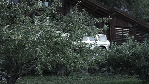 Un veicolo bianco parcheggiato di fronte a un edificio in legno dallo stile rustico, con un albero sullo sfondo.