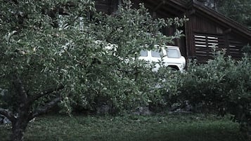 Un vehículo blanco estacionado frente a un edificio de madera rústica con un árbol en primer plano.