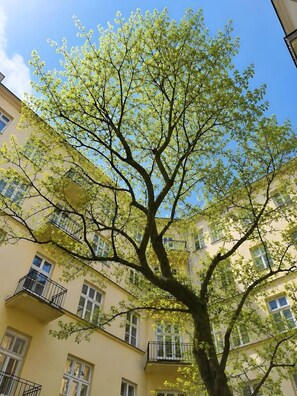 Ein Baum mit freiem Blick auf die Fassade, Balkone und Fenster eines Gebäudes.