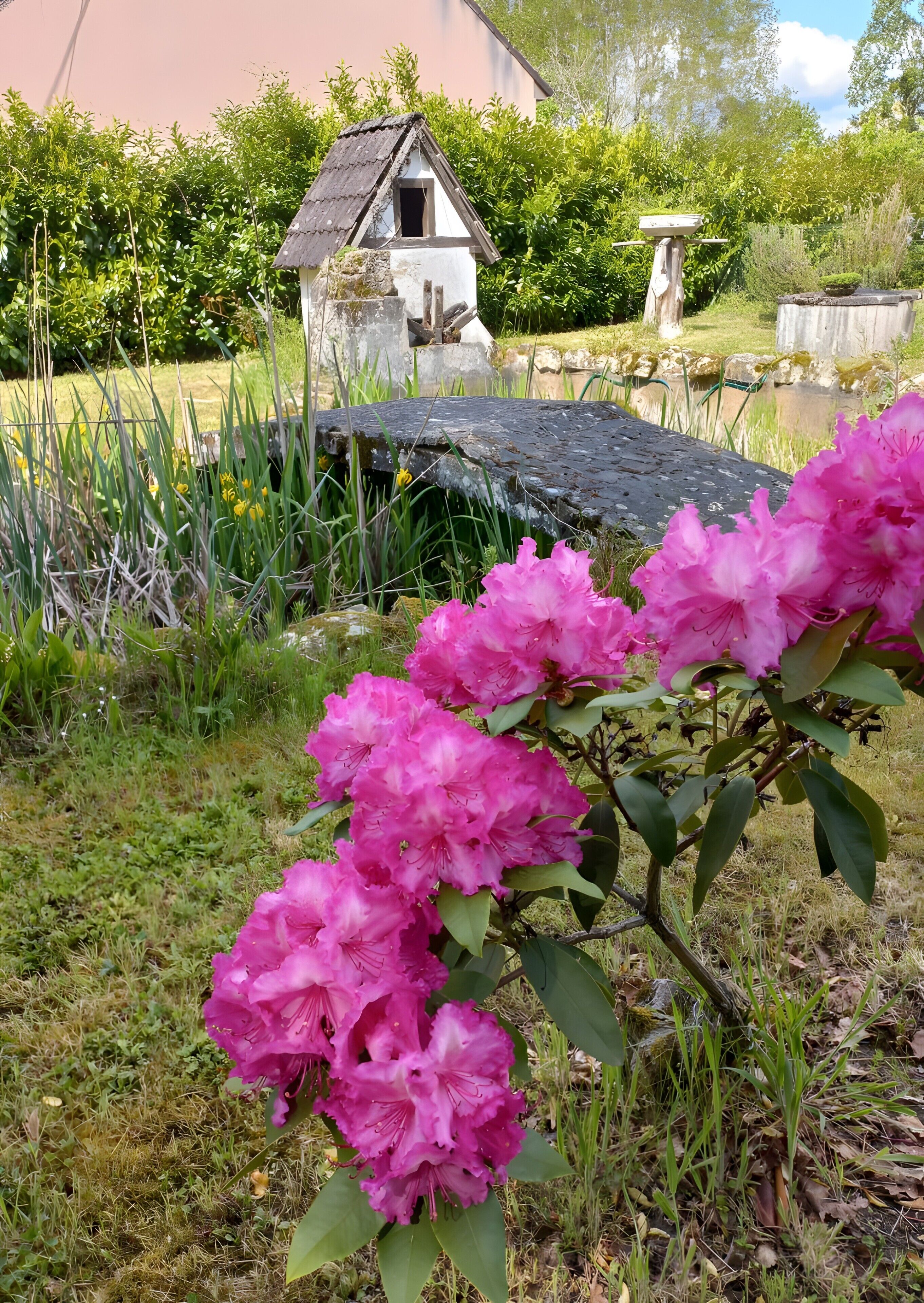 Un jardin avec un petit bâtiment blanc, un étang et des fleurs roses.