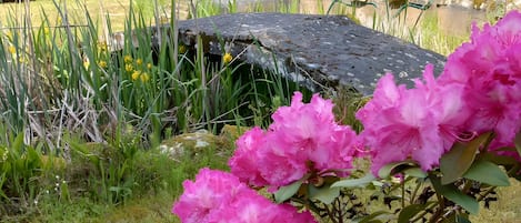 A garden with a small white building, a pond, and pink flowers.