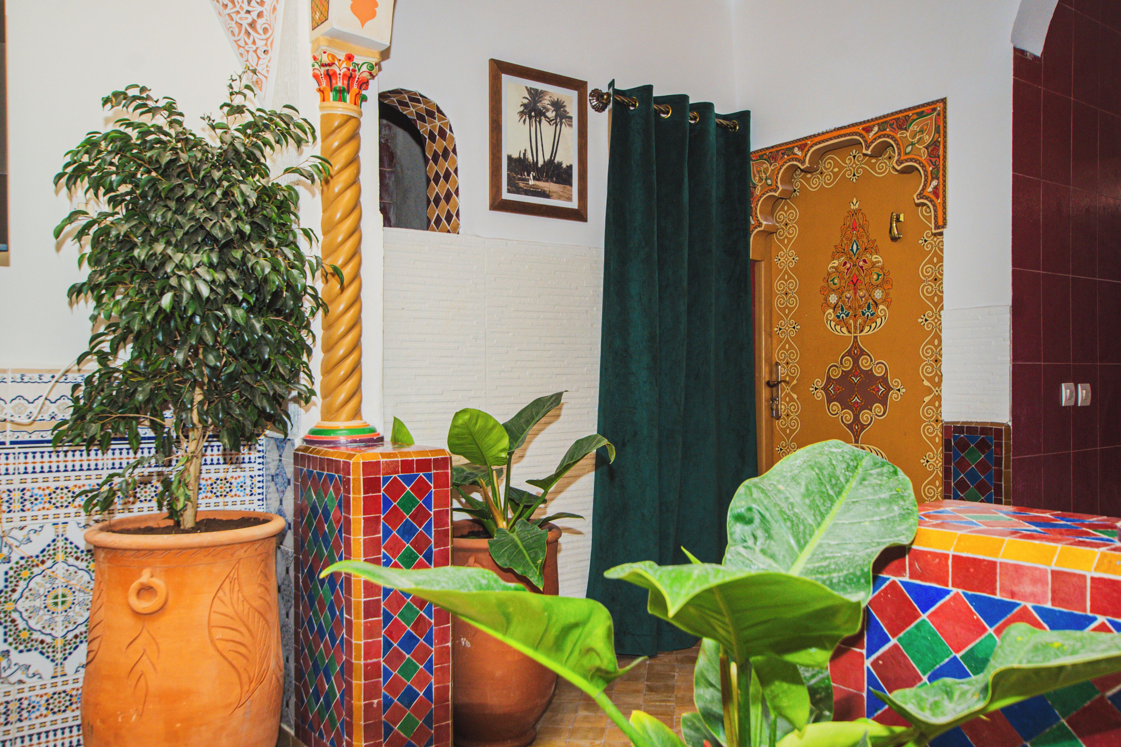 Una habitación con piso de baldosas, una planta en maceta, una puerta con panel decorativo y un cuadro en la pared.