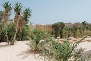 Ein Garten mit Palmen, einem Sandbereich und Holzliegen.