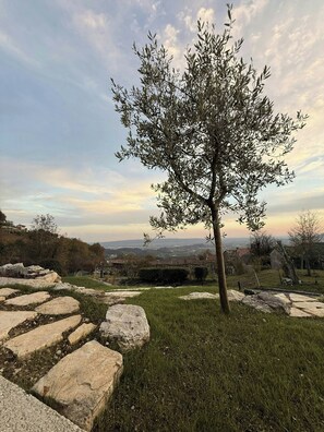 A tree in a grassy area with a stone pathway leading to a view of distant houses and hills.