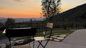 A bench and a folding chair on a paved area with a view of a vineyard and a tree in the background.