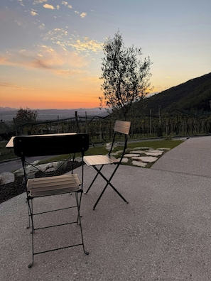 A bench and a folding chair on a paved area with a view of a vineyard and a tree in the background.